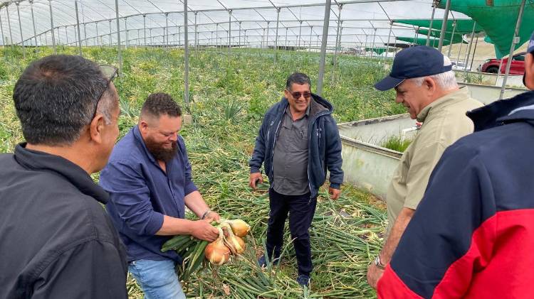 Según productores con la producción proyectada no se esperan problemas de abastecimiento.