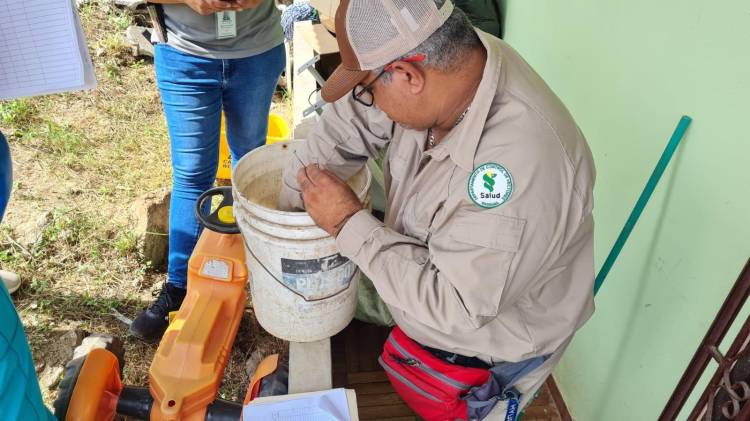 El Minsa ha intensificado sus operativos de control de vectores en todo el país.