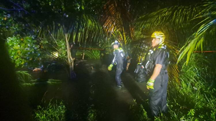 El personal bomberil ingresó a la zona afectada.