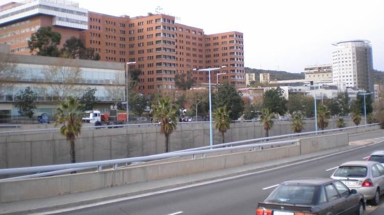 En la cirugía trabajaron 100 profesionales del Hospital Universitario Vall d’Hebron.