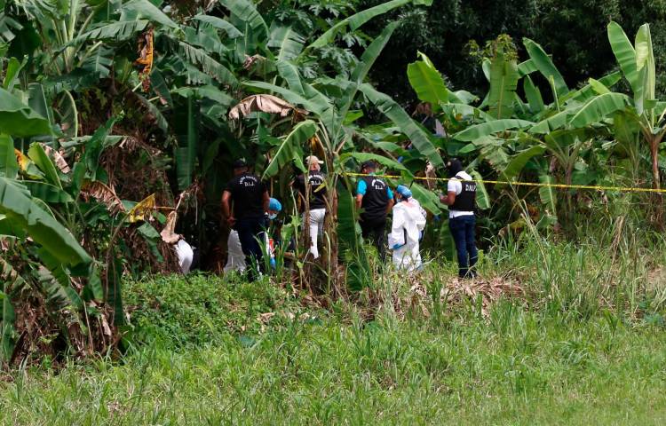 Una llamada anónima de los residentes del lugar alertaron sobre un cuerpo enterrado en el área.