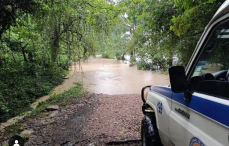 Fuertes lluvias causan inundaciones y caídas de árboles