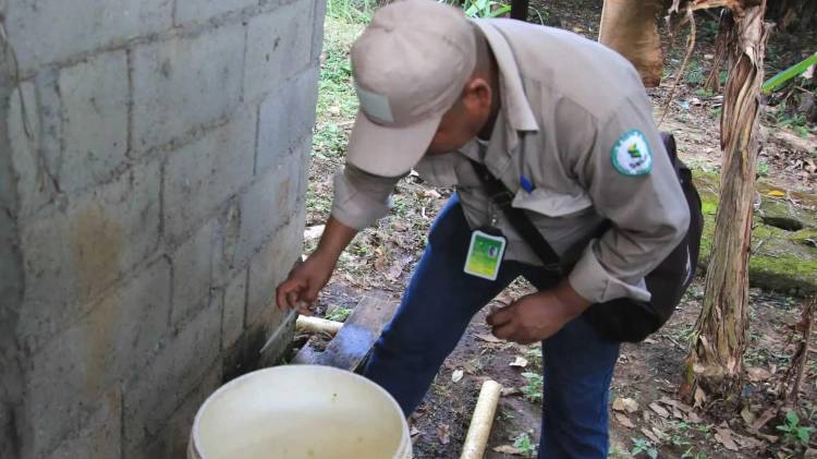 Personal de salud realiza labores de fumigación en comunidades de la Región Metropolitana como parte de los operativos intensificados contra el dengue.