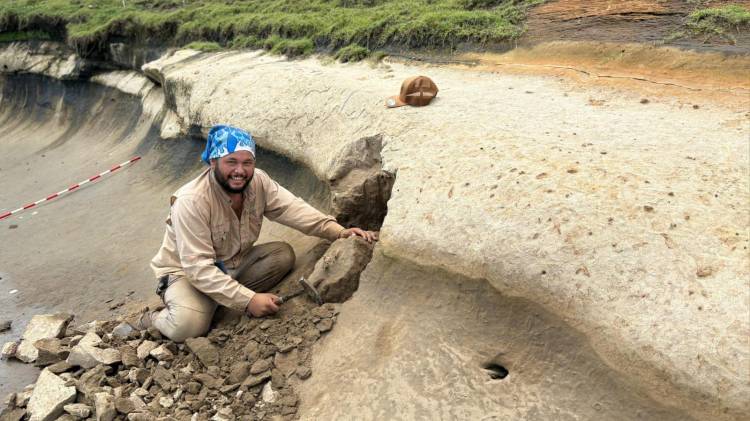 El hallazgo del fósil fue realizado por el paleontólogo marino y docente Carlos de Gracia.