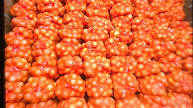 La carga fue llevada a Aduanas en David.