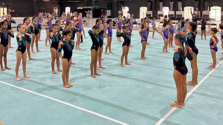 La gimnasia busca sus estrellas