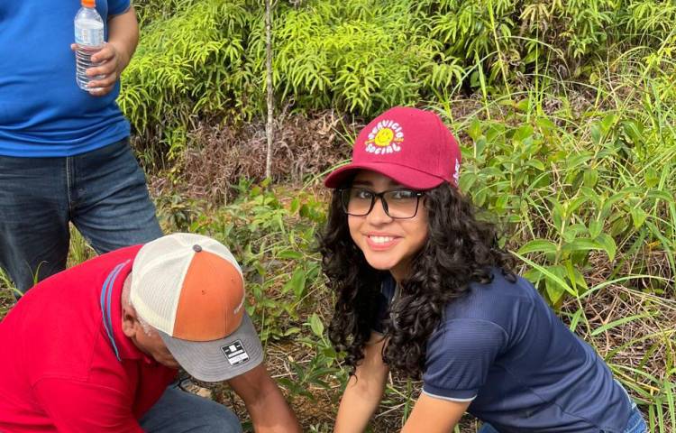 Voluntarios reforestan mil 111 plantones en Cabobré