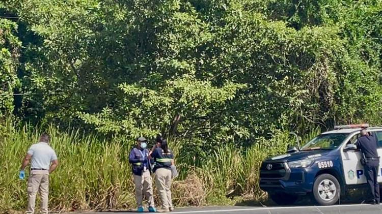 Lineth Torrero / El Siglo