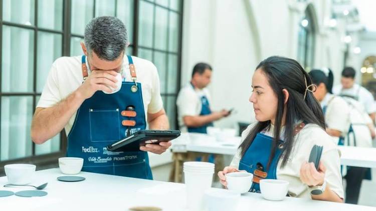 El café Geisha panameño, considerado el más caro del mundo, será la estrella de la subasta internacional.