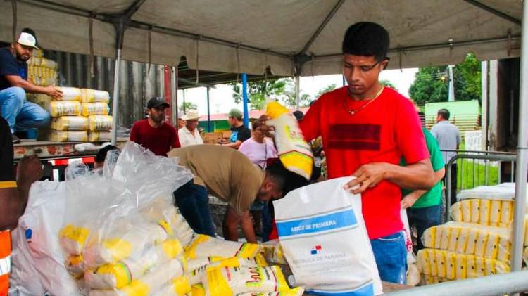 Ciudadanos aprovechan las Agroferias para comprar productos frescos a precios accesibles, directamente del productor al consumidor.
