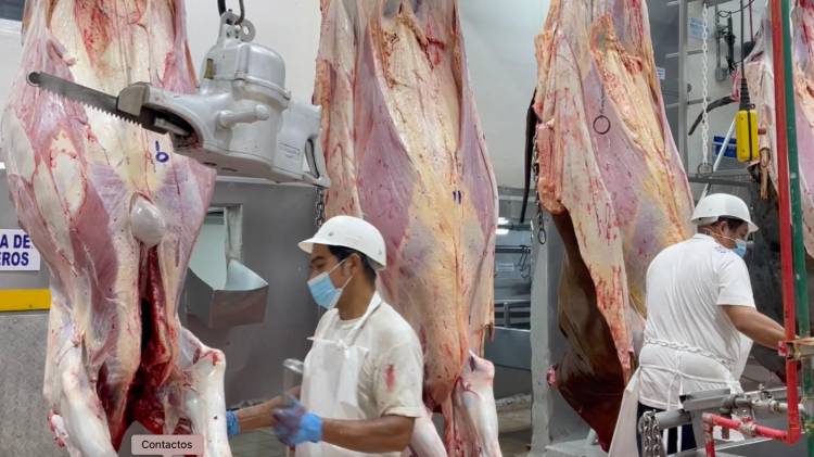 Los laboratorios de Salud del MIDA ya han pasado tres pre- auditorías.