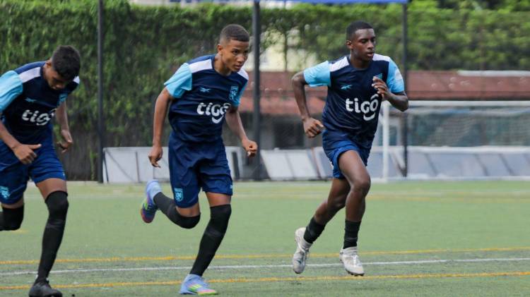 Redes / Fepafut