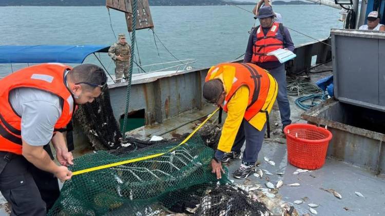 Productos del mar alcanzaron exportaciones por $275 millones el año pasado
