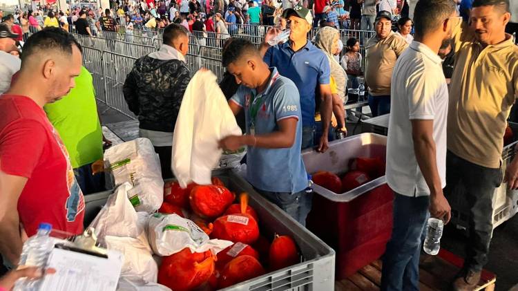 Este año, el IMA cubrirá 137 puntos y distribuirá 500,000 cajas navideñas a $15 cada una.