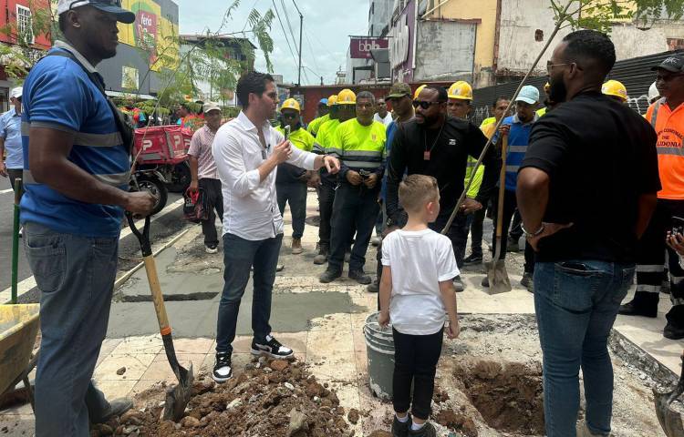 Inicia arbolado urbano en Calidonia bajo la dirección del alcalde Mayer Mizrachi