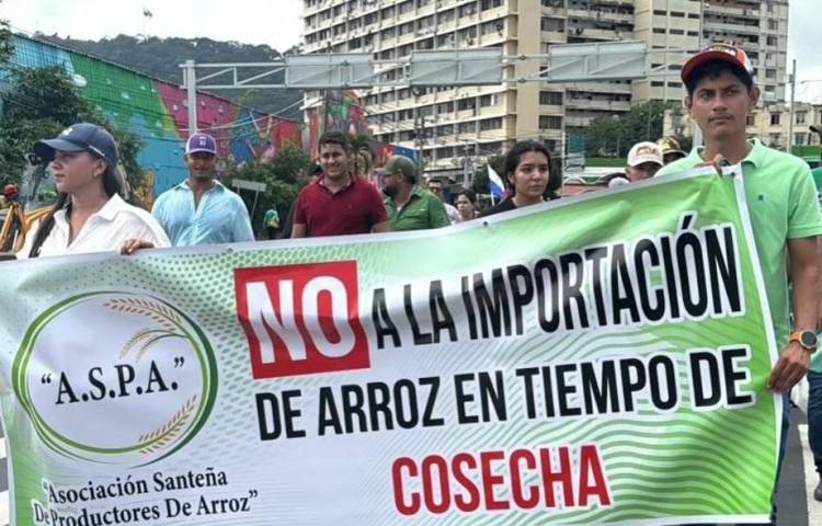 Los manifestantes solicitaron protección a los productores.