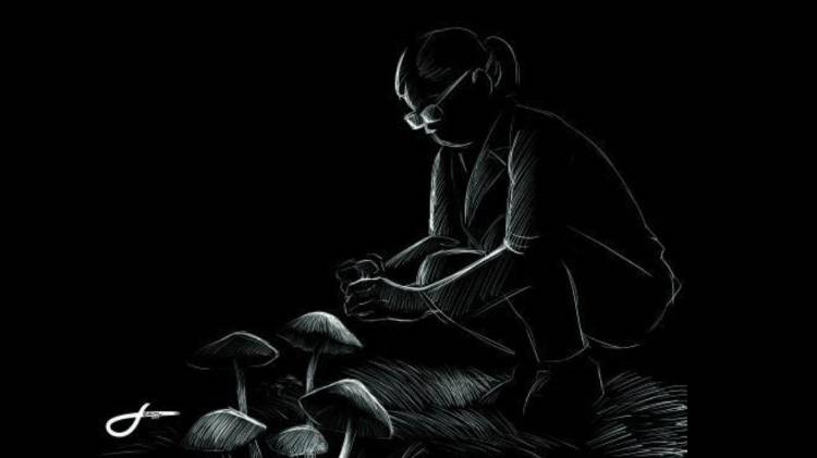 Una familia entera muerta tras una cena envenenada