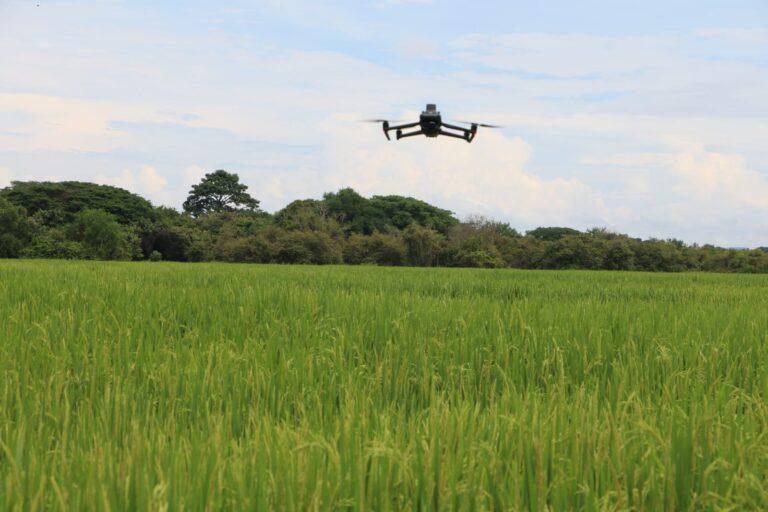 MIDA abre consulta para regular el uso de drones en fumigación y siembra
