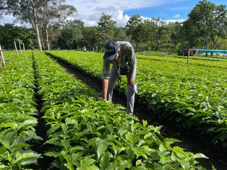 Panamá se une a la celebración del Día internacional de la sanidad vegetal