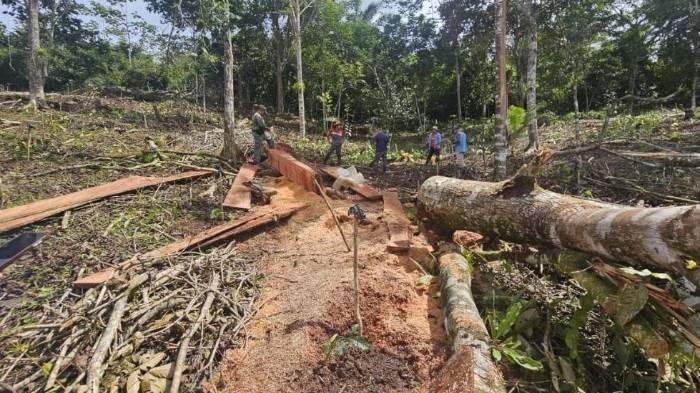 Personal de MiAmbiente y la Policía Ambiental inspecciona el área donde se halló madera de espavé