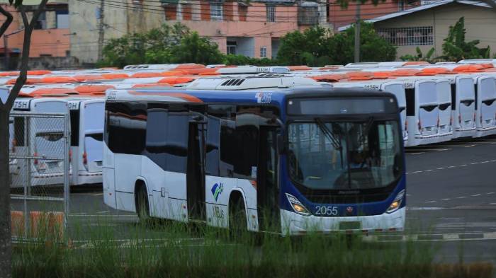 En la actualidad, solo 1,100 buses circulan en las calles de la capital y San Miguelito.