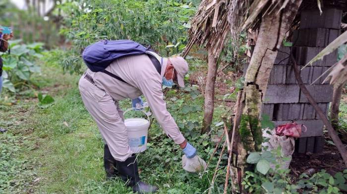 Minsa reitera a la población eliminar los criaderos de mosquitos.