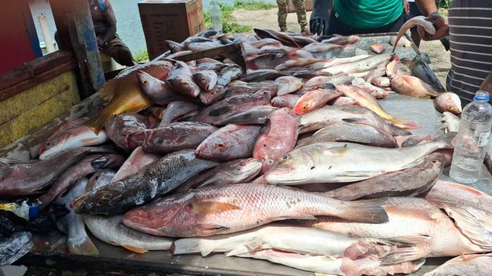 El 64.6 % de los productos del mar fueron exportados por vía marítima.