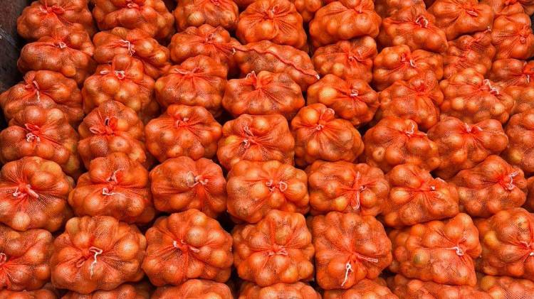 El caso más reciente se dio en el puesto de Guabalá, los inspectores lograron confiscar 70 quintales de cebolla morada, reforzando el mensaje de tolerancia cero frente al contrabando agropecuario.