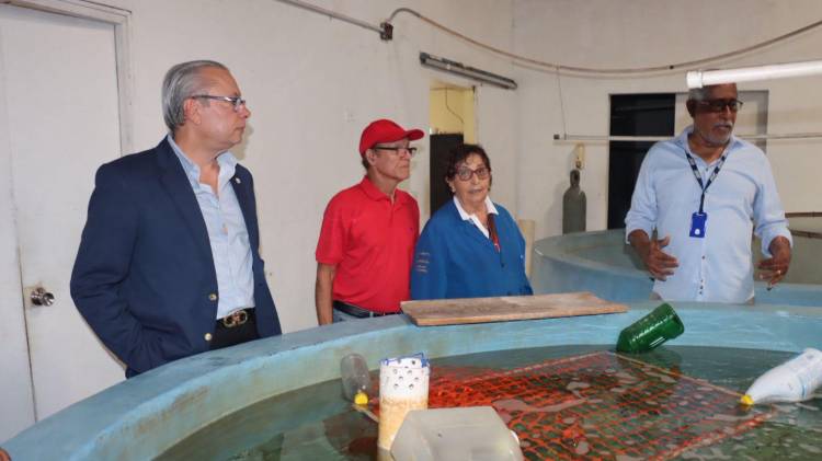 Laboratorio de macroalgas ubicado en la Estación de Maricultura del Pacífico.