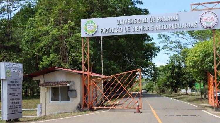 UP reitera la importancia de la Ley de la Política Agroalimentaria de Estado (PADE).