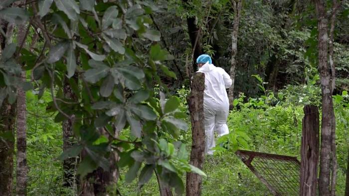 Hallazgo de un cuerpo en avanzado estado de putrefacción en La Chorrera, Se desconoce la identidad