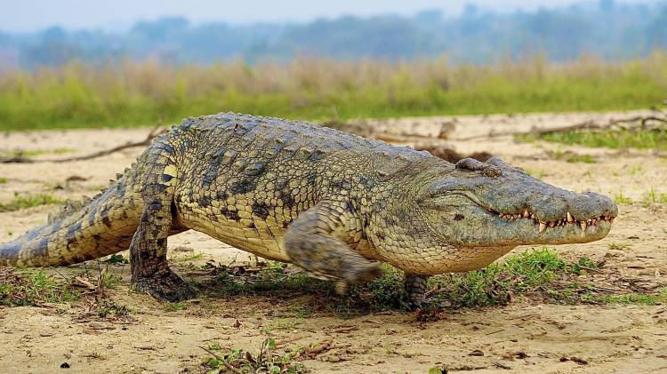 Durante el juicio, la defensa argumentó que el acusado era un hombre de fe y amoroso.