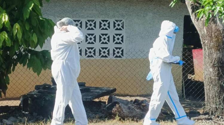 El lamentable hecho ocurrió la mañana de hoy sábado en el sector de Los Abanicos.