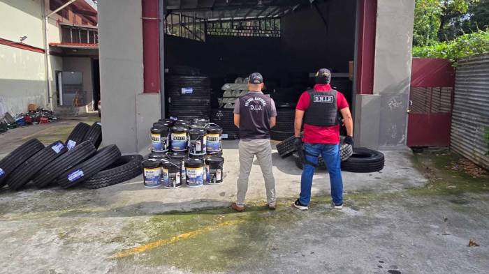 Los bienes recuperados en los operativos fueron remitidos a las autoridades correspondientes para su debido proceso legal.