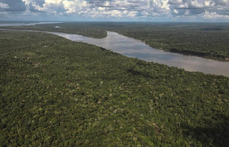 Fotografía de archivo fechada el 4 de abril de 2023 que muestra una vista aérea de una zona de la Floresta Amazónica, en el estado de Pará (Brasil). EFE/ Antonio Lacerda