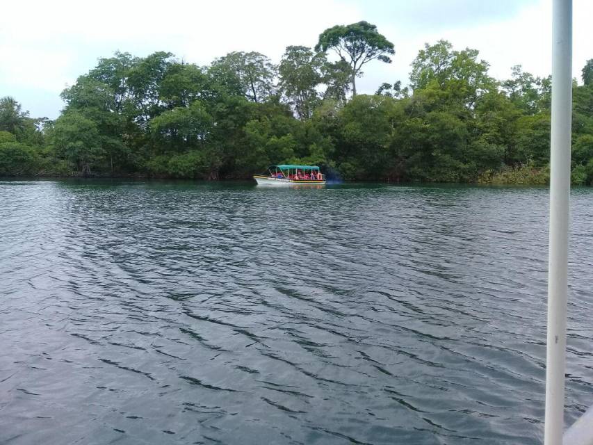 Los sitios más verdes de Panamá: un refugio de naturaleza y biodiversidad