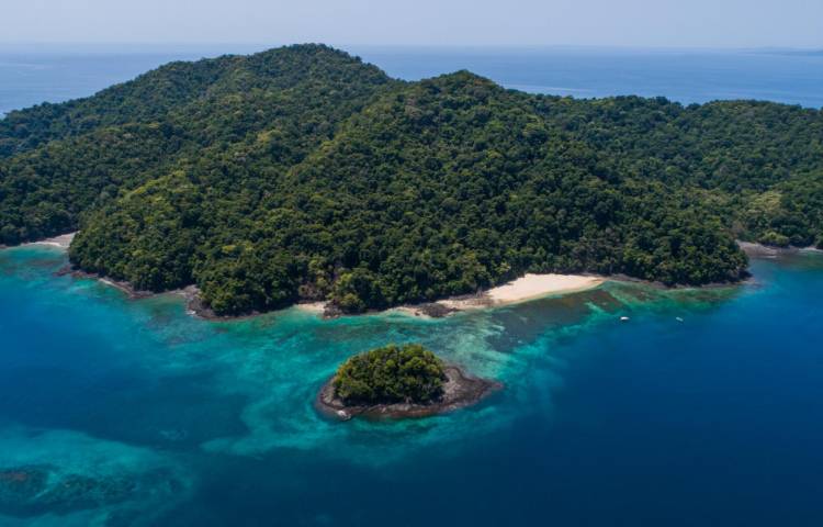 Los sitios más verdes de Panamá: un refugio de naturaleza y biodiversidad