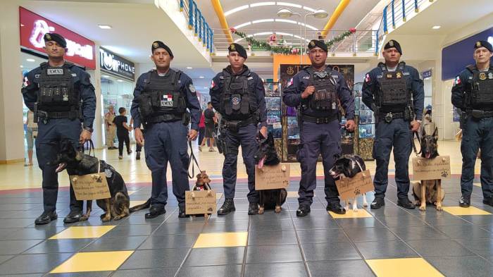 Realizan campaña de sensibilización de la pirotecnia en las mascotas