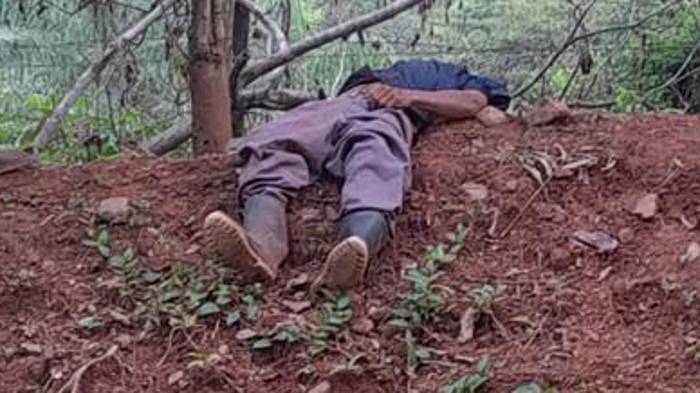 Elmer Quintero/ El Siglo