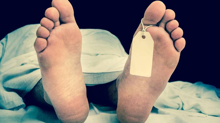 A eso de la 1:45 de la tarde del 28 de noviembre se presentó la fatalidad para Francisco Ureña