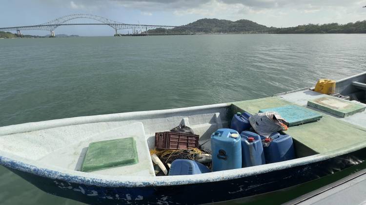 El Senan dijo que este año ha incautado 63,277 paquetes de drogas a nivel nacional