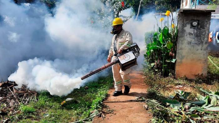 La región Metropolitana es la más afectada por dengue.