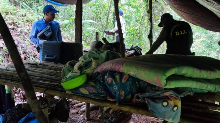 Destruyen campamento dedicado a la minería ilegal en río Terable