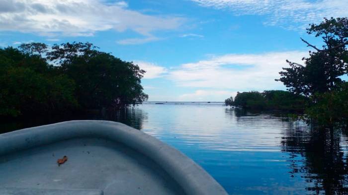 Este proyecto busca proteger los ecosistemas terrestres y marino-costeros de ese distrito.