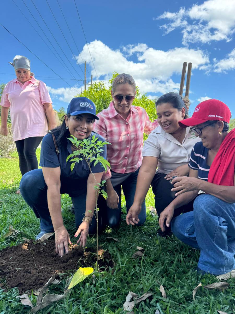 Mujeres impulsan la reforestación y proyectos sostenibles en Chiriquí