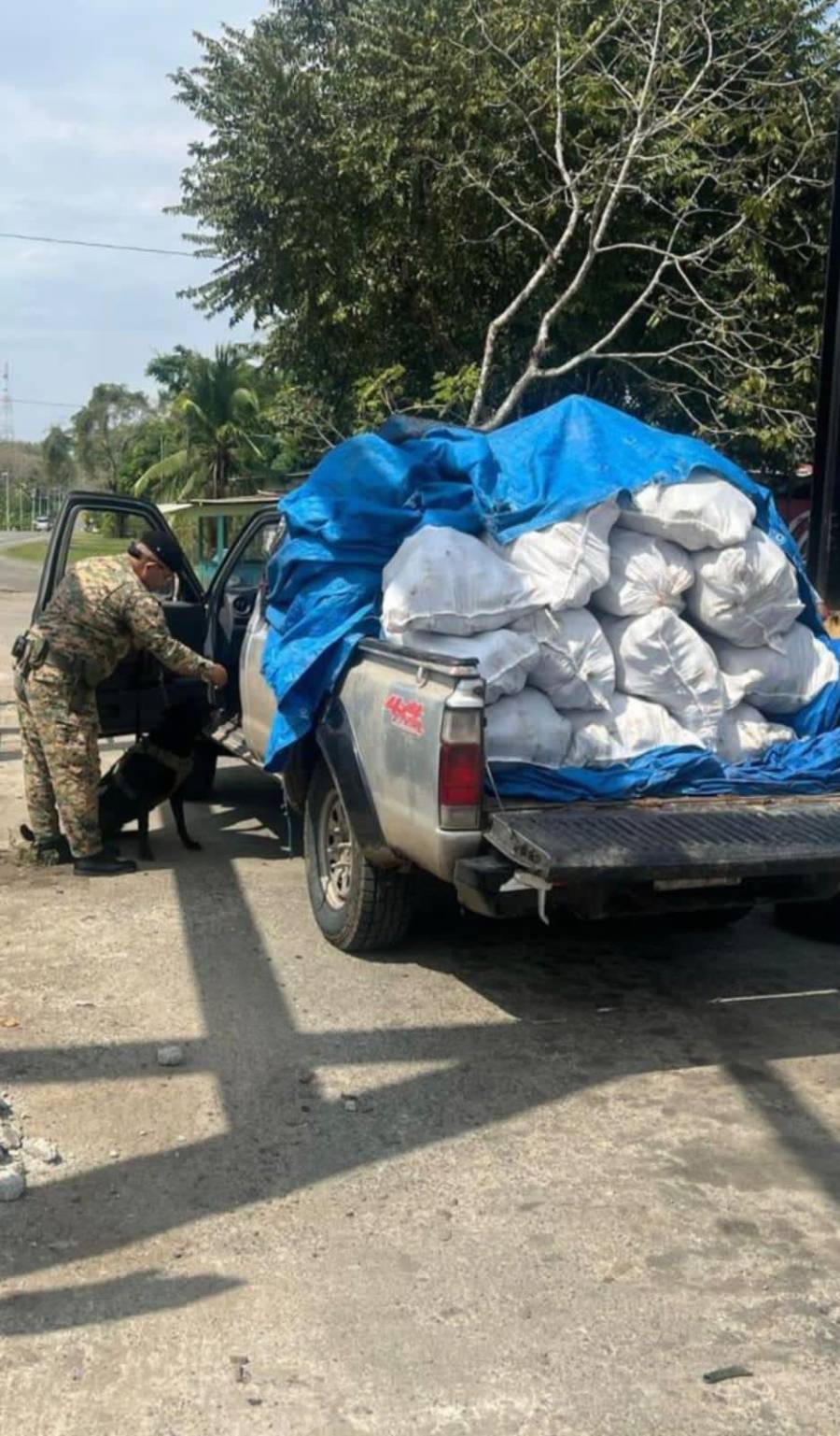 Verduras preñadas salen de Darién
