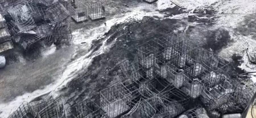 COLAPSÓ TODO EL TECHO DE UNA DE LAS GALERAS DE LA FÁBRICA.