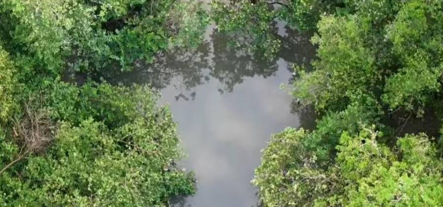 San Miguelito | Retoman la búsqueda de adolescente que desapareció al lanzarse al río
