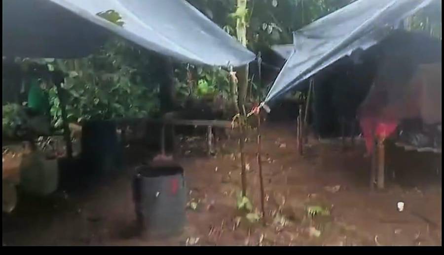 Los pillaron en campamento de minería ilegal en Darién