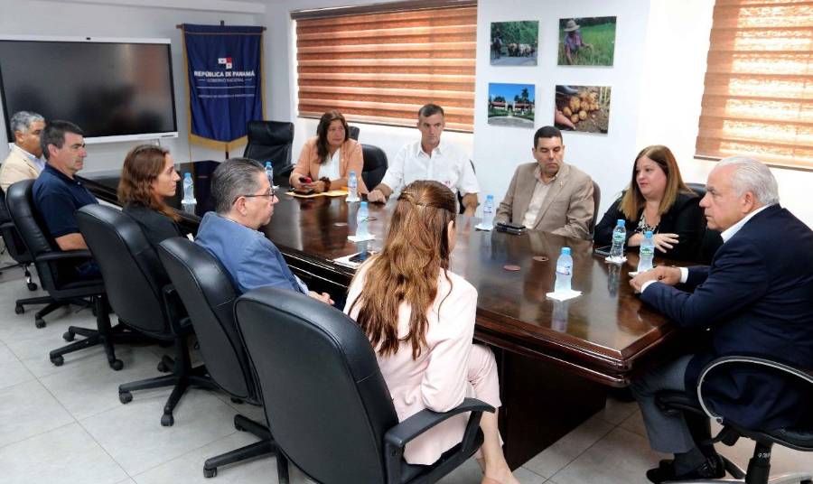 Panamá busca impulsar la producción de maíz en dos años